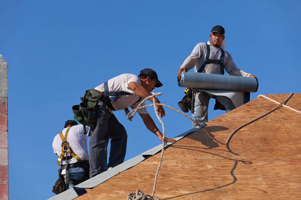 Best Gutter Installation and Roofing  in Bridgewater Center, NJ